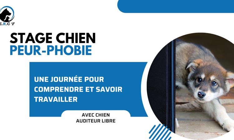 educateur canin venelles