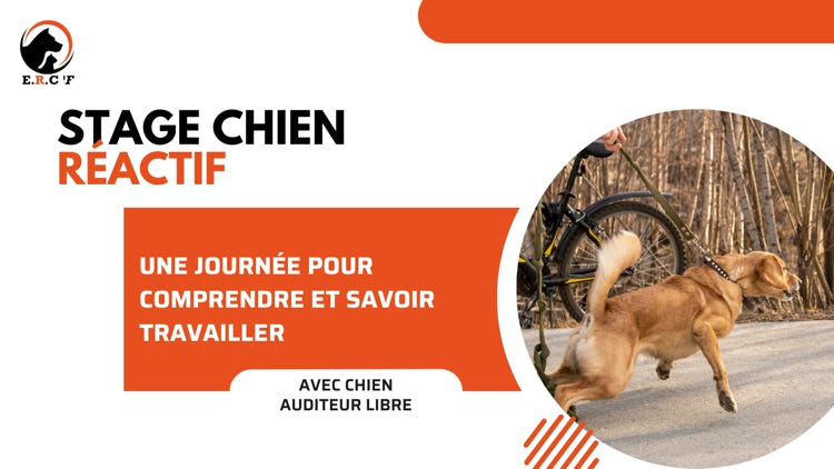 educateur canin aix en provence